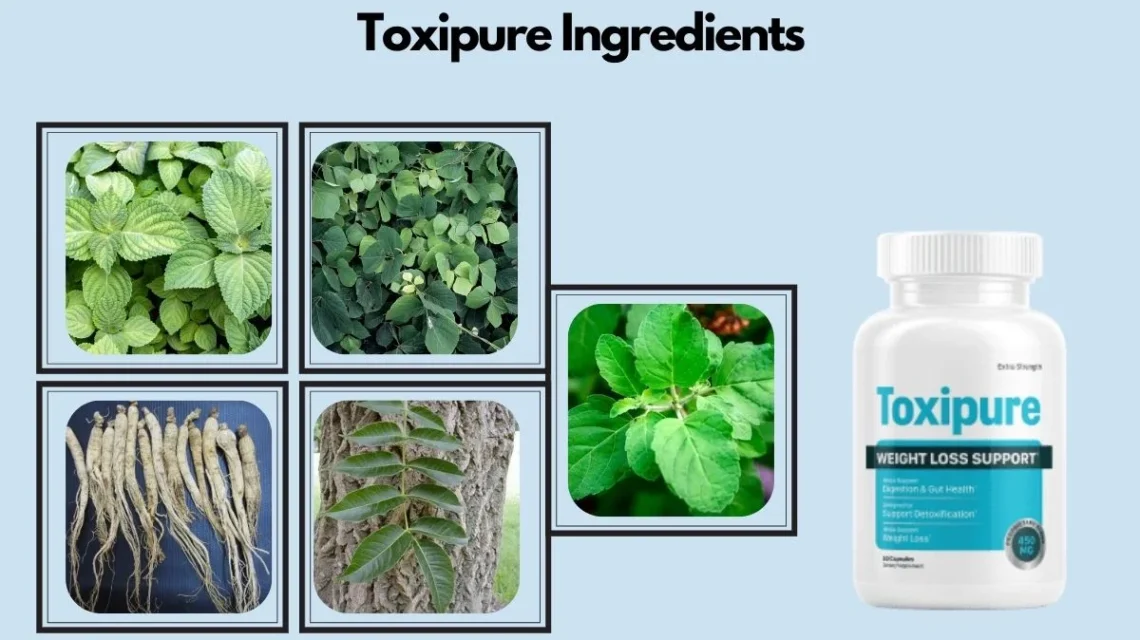 Toxipure Weight Loss