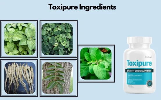 Toxipure Weight Loss