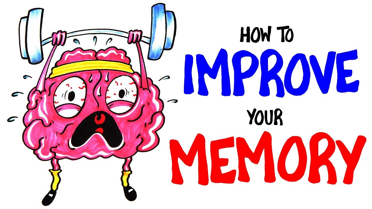 Improve your memory